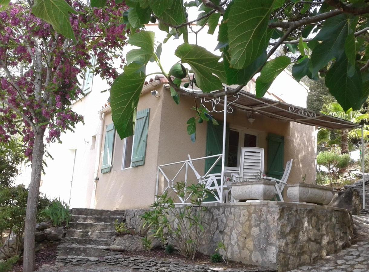 Gite Sud De France-Carcassonne Chez Lea Aragon المظهر الخارجي الصورة