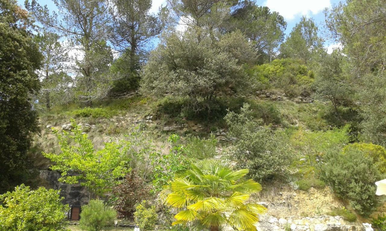 Gite Sud De France-Carcassonne Chez Lea Aragon المظهر الخارجي الصورة
